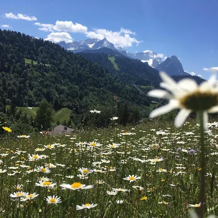 Apartament Haus Niklos - Wank