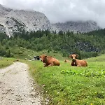 Haus Niklos - Wank Apartmán Grainau