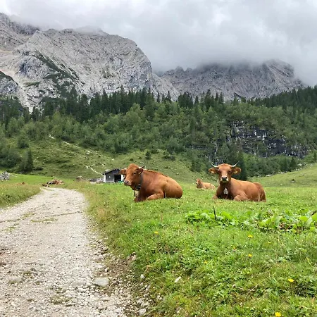 Appartamento Haus Niklos - Wank