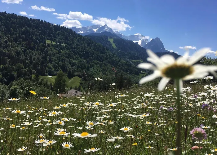 Апартаменты Haus Niklos - Wank