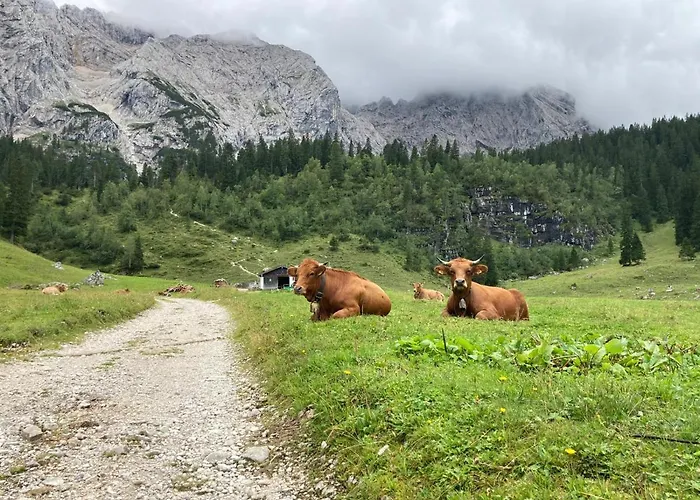 Апартаменты Haus Niklos - Wank